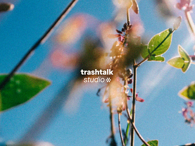 Logo for Trashtalk*studio art direction branding design graphic design identity logo nature pattern rebranding still life type type design typography vector