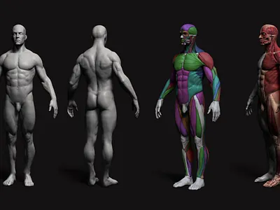 Character design 3d ani app branding graphic design illustration logo