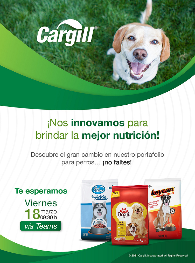 CARGILL DOGUI PETFOOD by Karlo on Dribbble