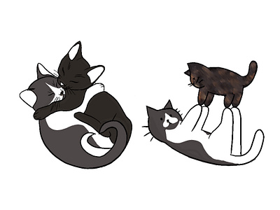 Simple Cat Re-Design graphic design illustration