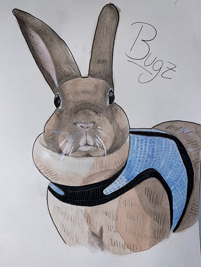 Freestyled pet portrait animals design handdrawn illustration watercolor