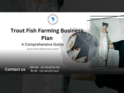 business plan trout farm