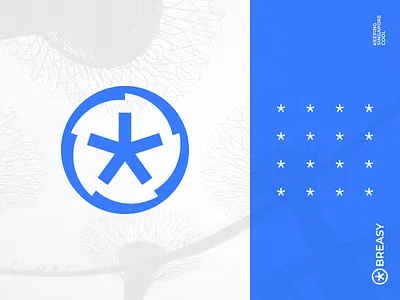 Breasy - brand identity - logo air blade branding breasy conditioning coolnes design gedas meskunas glogo graphic design icon illustration logo rotor singapore snow snowflake vector wind