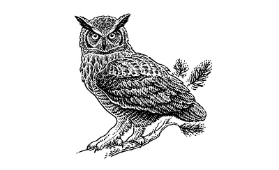 Owl black and white classical engraving etching illustration retro vintage