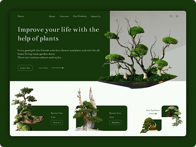 Decorative Plants decorative design green plants tree ui ux