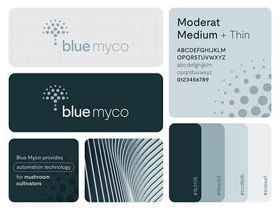 Blue Myco adobe illustrator brand identity branding color palette design digital design graphic design icon identity illustration logo logo design logotype mark pattern presentation typography ui vector visual identity