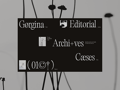 Gørgina Editorial 12 columns editorial old elegant gray grid hero interface layout minimal pangram playground resonance sherif tpography typography web design