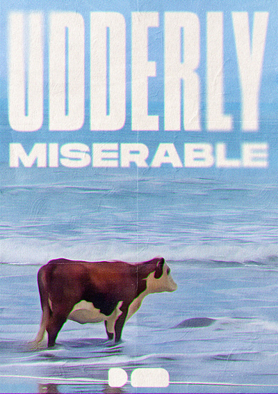Udderly miserable art cow funny graphic design grunge illustration meme poster