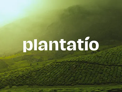 Logo for brand tea branding design graphic design logo typography