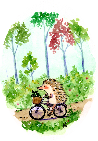 Hedgie Cycle art illustration