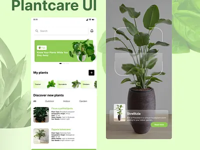 Plantcare Design art artist design designer illustration illustration art uiux ux uxdesign