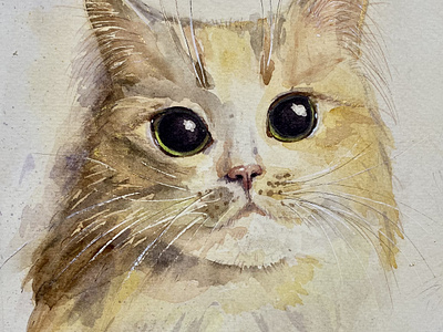 Watercolor painting ''Masia" animals cat handmade illustration pets watercolor