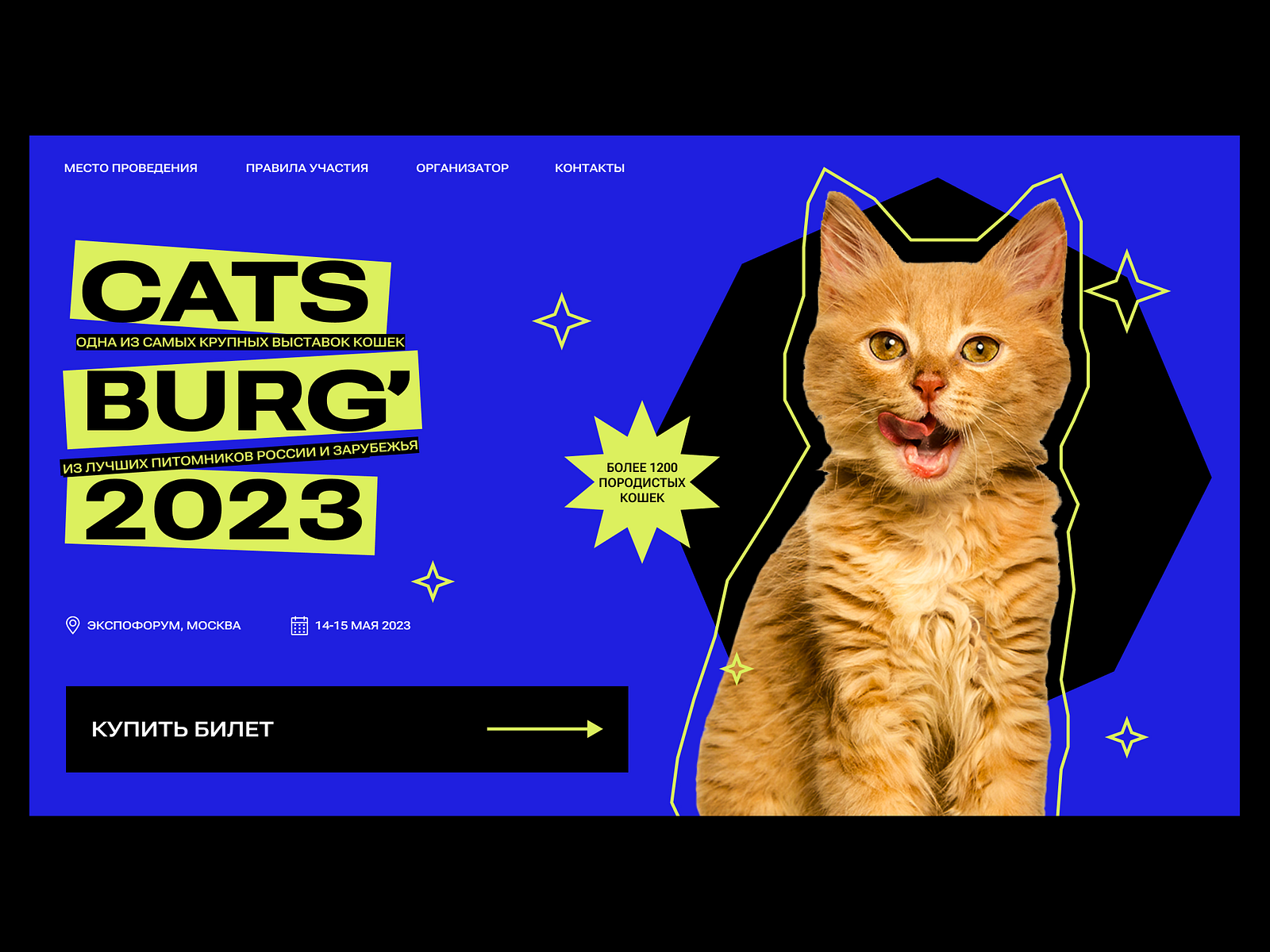 Cat fest landing page by Sabina Akhmedova on Dribbble