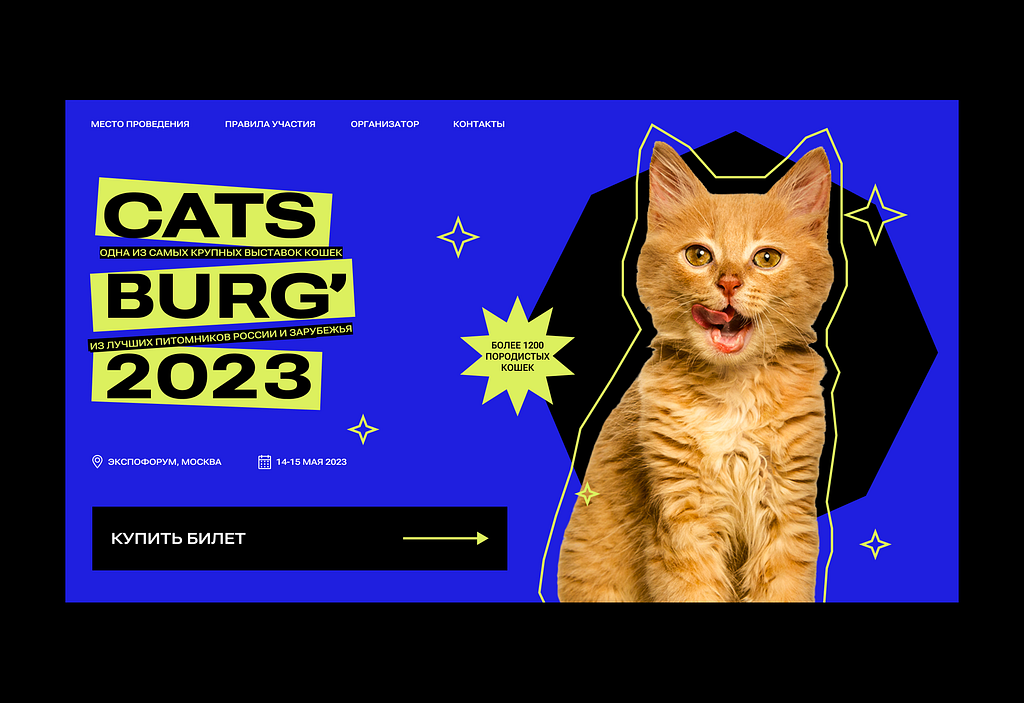 Cat fest landing page by Sabina Akhmedova on Dribbble