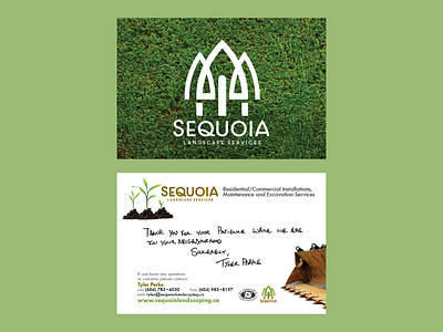 Sequoia /Print Design design graphic design mailer print design