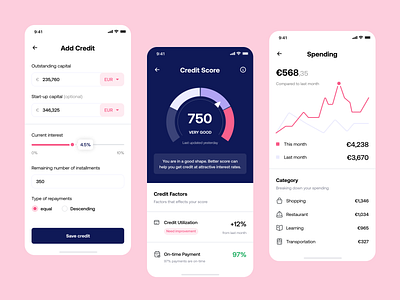 Credit Score - Concept Mobile App ui