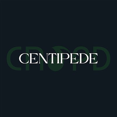 CENTIPEDE-"Bringing the rhythm of the world to your fingertips". brandidentity branding design graphic design illustration logo