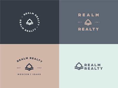 Realm Realty Logo Variations branding design graphic design logo typography vector