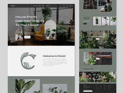 Clores landing page app branding design graphic design illustration logo typography ui ux vector