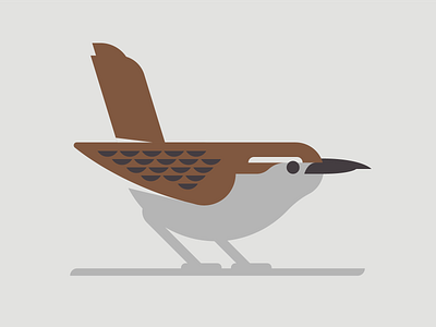 Wren bird birds brown carolina wren design feather gray grey illustration illustrator south carolina vector wing wren