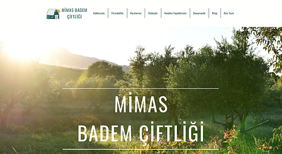 Mimas Almond Farm photoshop ui design web design