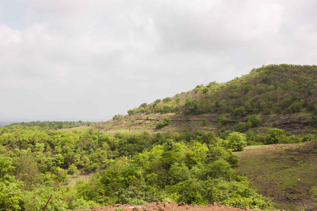 Exploring The Beauty Of Sarpanpally Lake, Ananthagiri Camping, A by ...