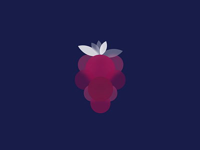 Raspberry Digital Illustration branding fruit illustration raspberry ui