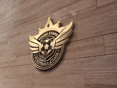 Football club logo brand identity club logo club logo design design football football club football club badges football club logo football club logo design logo design