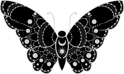 Butterfly with fishnet pattern aesthetic astrology butterfly fishnet moon sun