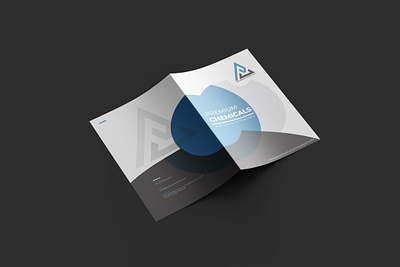 Brochure / Flyer branding brochure catalouge design editing flyer folder graphic design illustration illustrator mockup photoshop vector