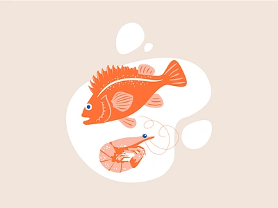 Rockfish and Prawn Illustration alaska brand identity branding graphic design illustration pacific ocean perch packaging design prawn rockfish seafood shrimp