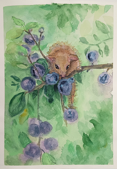 Mouse among plums animals artist freehand drawing hand drawing illustration mouse nature outline watercolor