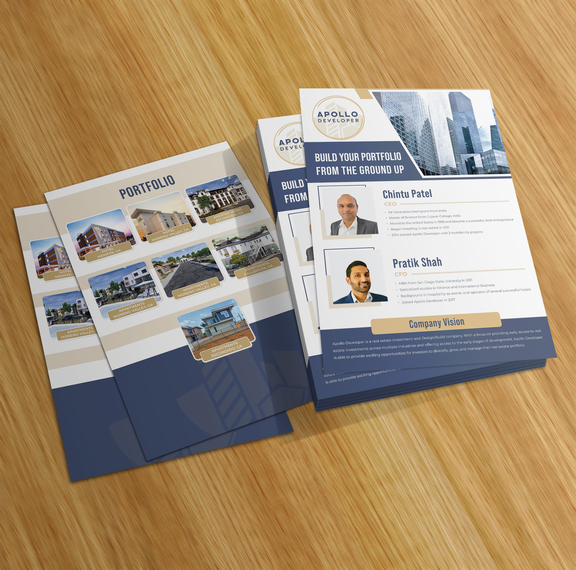 Example of Flyers Brochures And Marketing Matrials