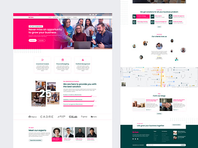 Landing Page- Business Consulting Service landing page ui ux web design