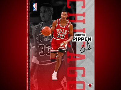 Scottie Pippen - NBA Poster basketball chicago bulls design graphic design illustration nba nba art nba poster print scottie pippen sports design