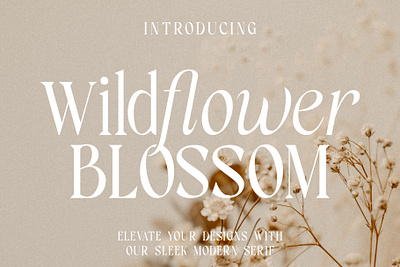 Wildflower Blossom - Modern Serif beauty branding design display elegant fashion font graphic design illustration italic logo magazine motion graphics product ui