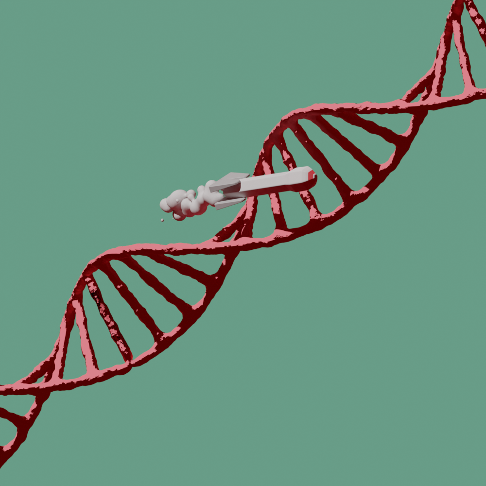 Science Dna/Rocket 3d animation blender dna low poly motion design motion graphics rocket science