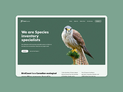 BirdCounts bird birds blog branding design logo photographer portfolio ui website