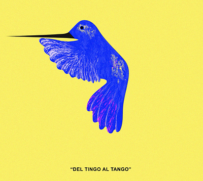 Del Tingo Al Tango for Mom animation bird blue digital emi emilysearle graphic design hummingbird illustration yellow