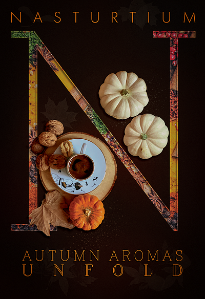 A Fall banner for a local cafe ad banner advert banner branding cafe coffee design illustration logo