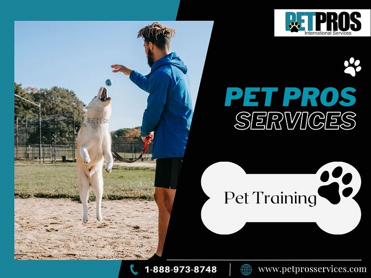Pet Training Pet Pros Services by PetPros Services on Dribbble