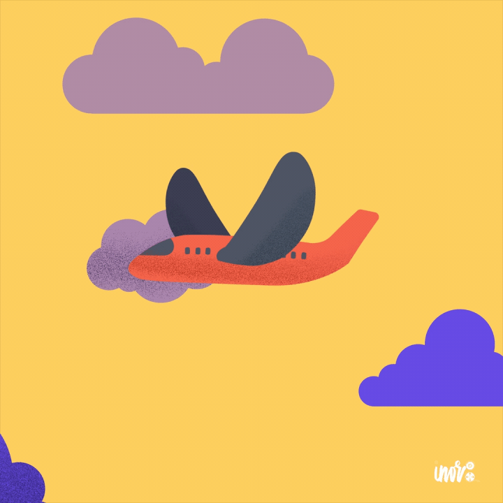 Where to next? after effects animation cel fly illustration plane