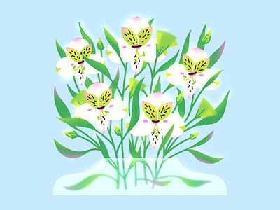 Alstroemeria challenge collaboration favoriteflowers flowers illustration illustrator plants procreate spring texture