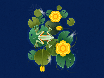 Continuing the nature theme. Frog 🪷 affinity designer character design digital art flat frog graphic design illustration lake lily nature nature illustration vector water water lily