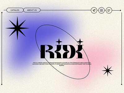 ridi branding figma graphic design landing ui ux web design