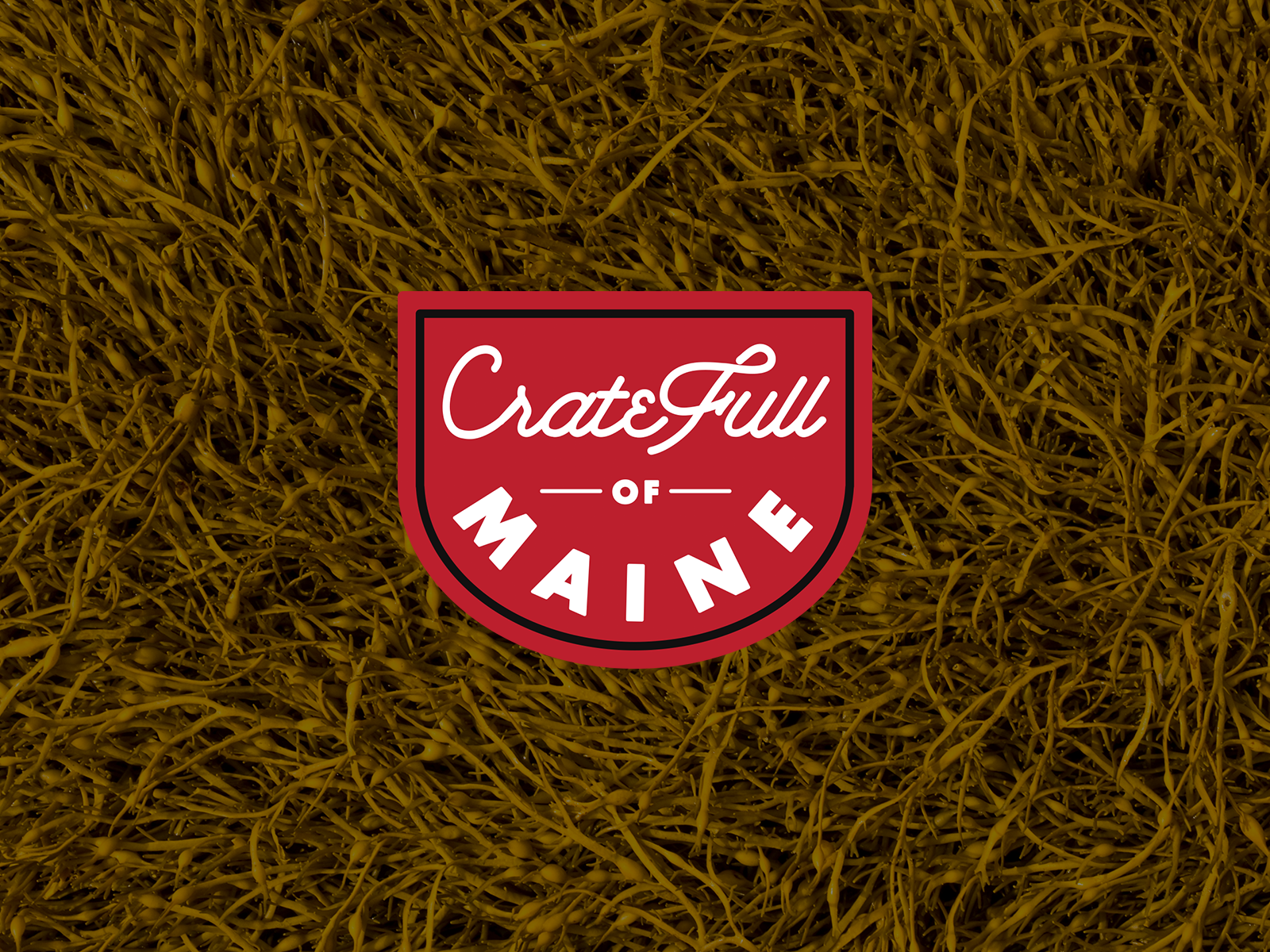Crate Full of Maine badge brand branding design gift box logo maine package design typography