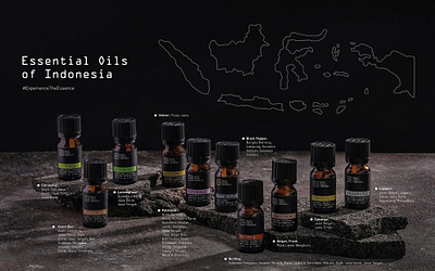 Essential Oils of Indonesia branding design essentialoils graphic design photography wellness