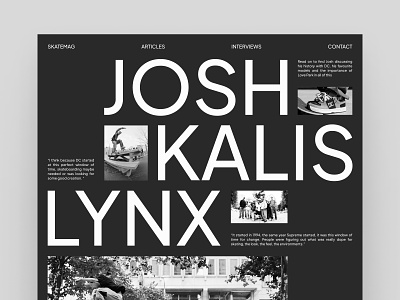 Josh Kalis Lynx (Dark) article black blog bold concept contemporary dark exploration home interview layout magazine minimal news portfolio simple sk8 skateboarding typogrphy web