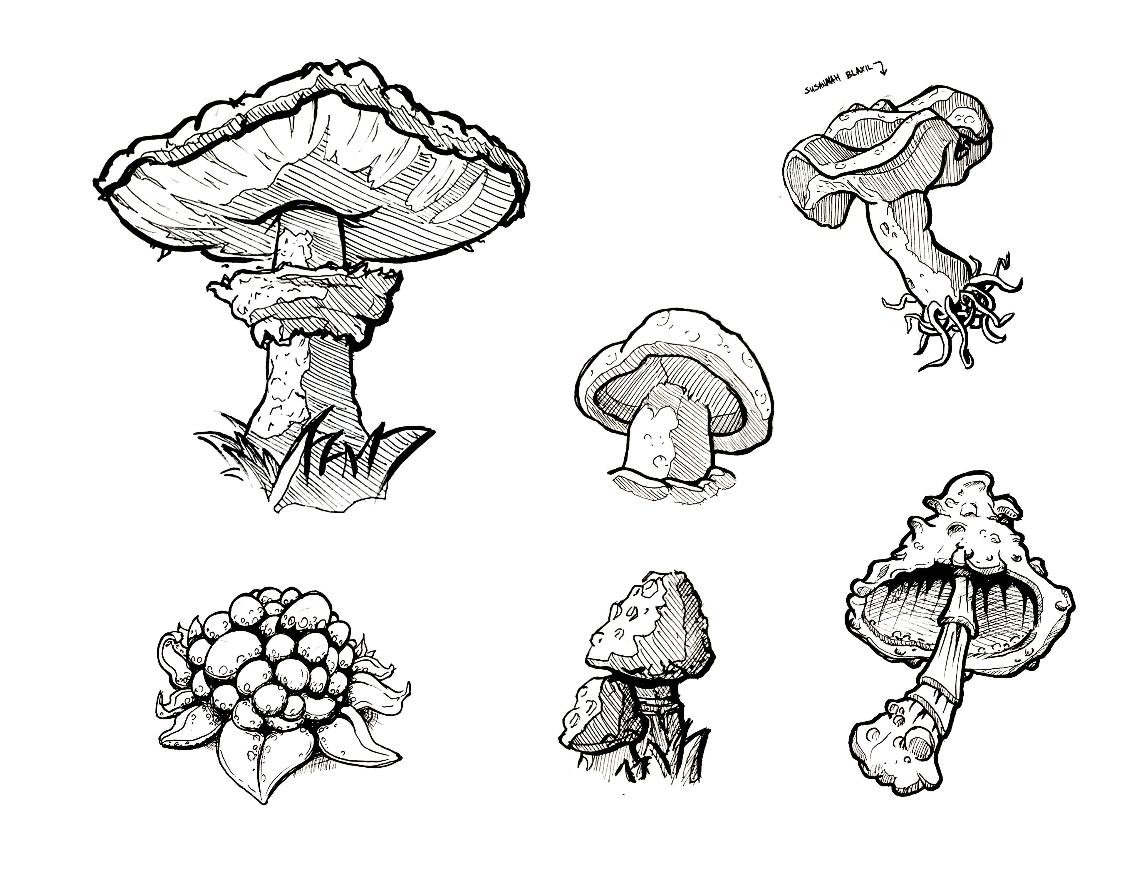 21 Easy Mushroom Drawing Ideas  Craftsy Hacks