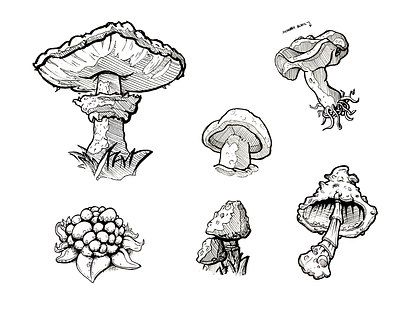 MUSHROOM SKETCHES botanical sketch cartoon cartoon illustration cordyceps fungi illustration mushrooms organicdrawing procreate shrooms sketchbook drawing